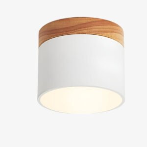 LightArt – PastelGlow LED Ceiling Lamp Modern Design